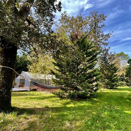 Cabane Au Milieu Des Pins - Domaine Temali Labouheyre Dış mekan fotoğraf