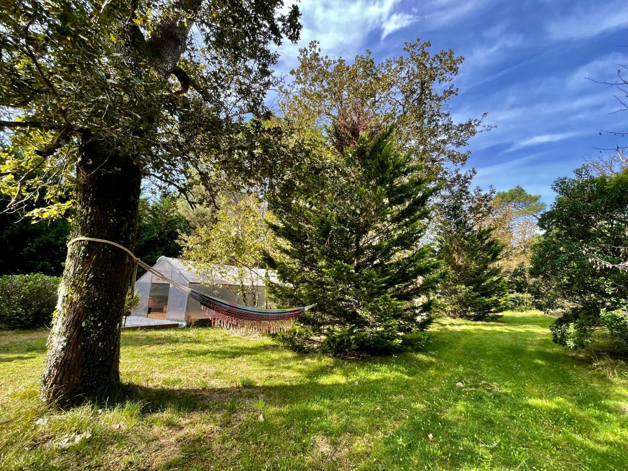 Cabane Au Milieu Des Pins - Domaine Temali Labouheyre Dış mekan fotoğraf